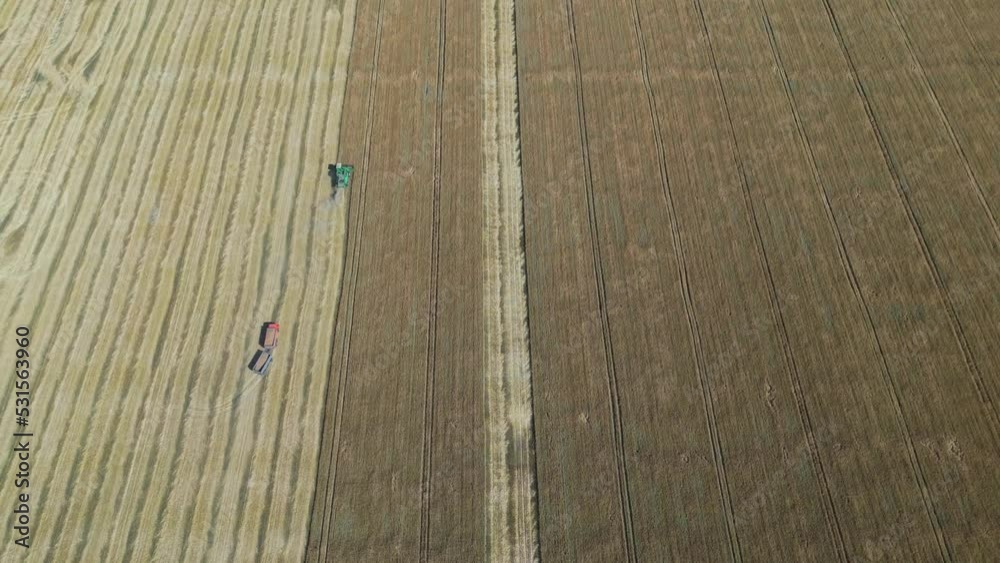 Drone view of various agriculture machine collects ripe wheat field. Harvesting grain in field, aerial footage. Drone view of various agriculture machine collects ripe wheat field. Harvesting grain in field, aerial footage.