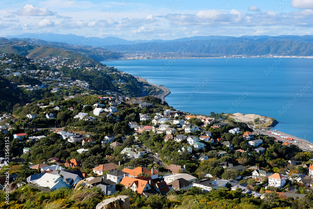 You can't beat Wellington on a good day, stunning view of capital city with suburban residential houses in the hills, and ocean sea views of the harbour in Wellington, New Zealand Aotearoa
