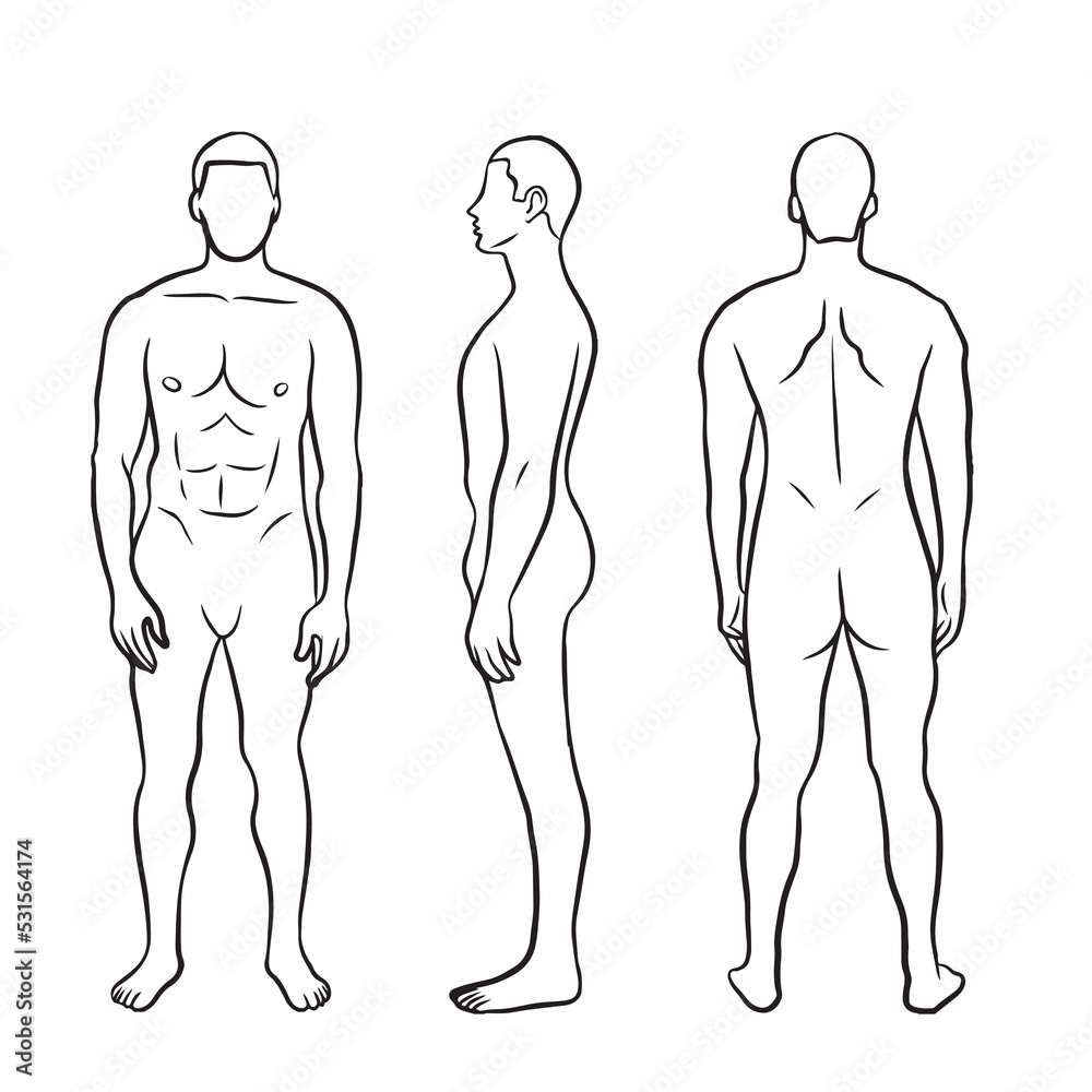 Anatomy Human Body Study Drawing Stock Illustrations – 770 Anatomy Human  Body Study Drawing Stock Illustrations, Vectors & Clipart - Dreamstime