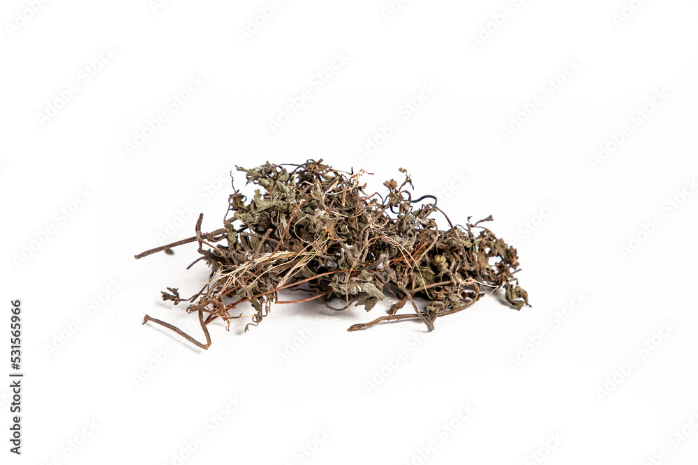 Chinese herbal medicine Tribulus terrestris or gohru on White background Chinese herbal medicine Tribulus terrestris or gohru on White background