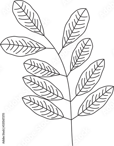 Wisteria sinensis wisteria leaf vector icon black and white  © Muhammad