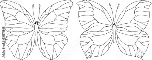 Black outline vector butterfly with open wings, top view. The illustration is isolated on a white background.