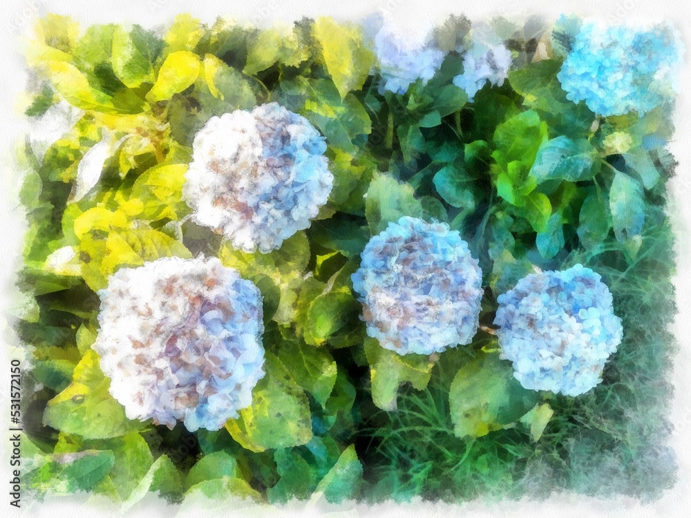 purple blue flower bushes watercolor style illustration impressionist painting. purple blue flower bushes watercolor style illustration impressionist painting.