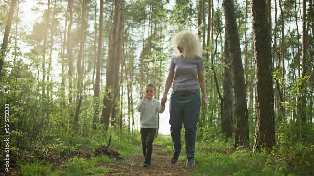 Mother and son are walking in the forest. Beautiful nature with trees and a happy family walking along the path. Warmth and love in the family. High quality 4k footage Mother and son are walking in the forest. Beautiful nature with trees and a happy family walking along the path. Warmth and love in the family. High quality 4k footage