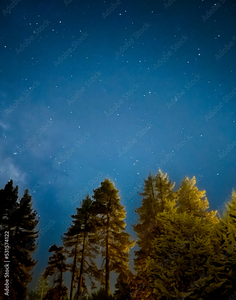 sky with stars sky with stars