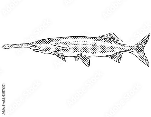 Cartoon style line drawing of an American Paddlefish or family Polyodontidae  a freshwater fish endemic to North America with halftone dots shading on isolated background in black and white. photo