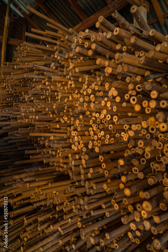Piles of young and small pieces of bamboo that will be processed into bamboo handicraft products in the cottage industry becomes an attractive background