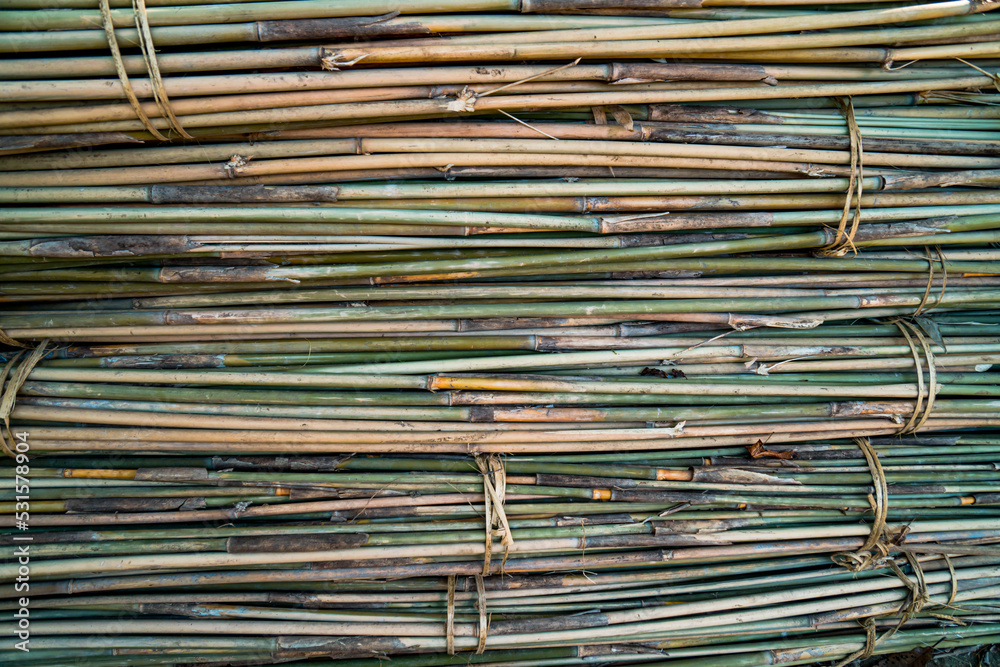 A very large pile of small bamboo, which will later be made into various crafts such as children's toys, straws, flutes, and others, the production process is done manually by local craftsmen A very large pile of small bamboo, which will later be made into various crafts such as children's toys, straws, flutes, and others, the production process is done manually by local craftsmen