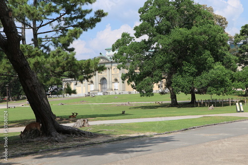 Konstfotografi 公園　奈良公園　仏像館　旧帝国奈良博物館本館