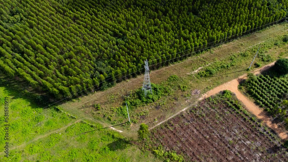 Aerial view of high voltage pylons and power lines near a eucalyptus plantation in Thailand. Top view of high voltage poles in the countryside near green eucalyptus forest.
