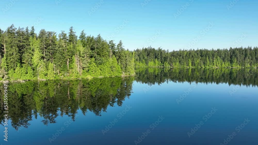 Shot of a lush green forest clearly reflecting off of a lake in America. Shot of a lush green forest clearly reflecting off of a lake in America.