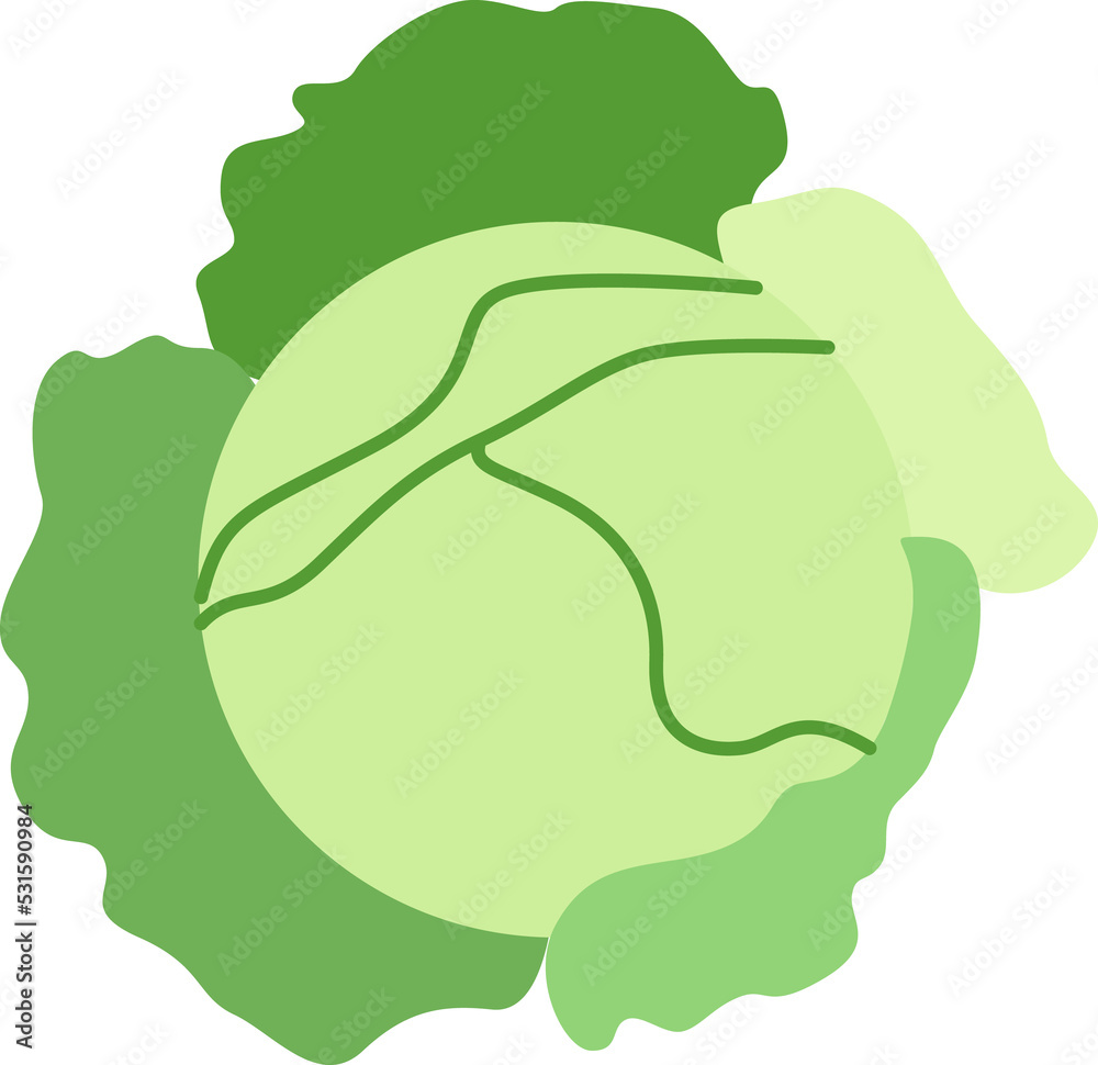 Kale flat vector icon for food applications and websites. Kale flat vector icon for food applications and websites.