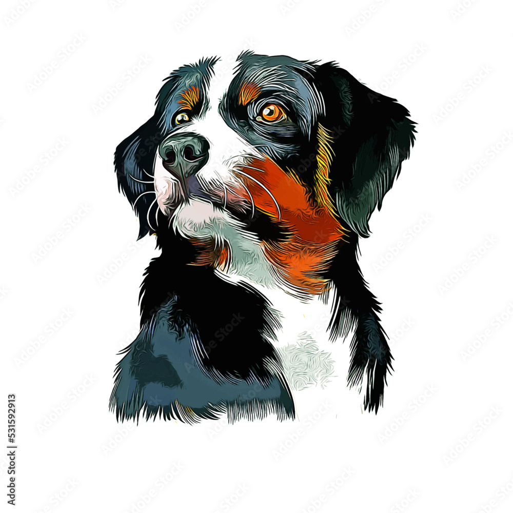 Appenzeller Sennenhund Dog Breed Watercolor Sketch Hand Drawn Painting Silhouette Sticker Illustration Sublimation EPS Vector Graphic