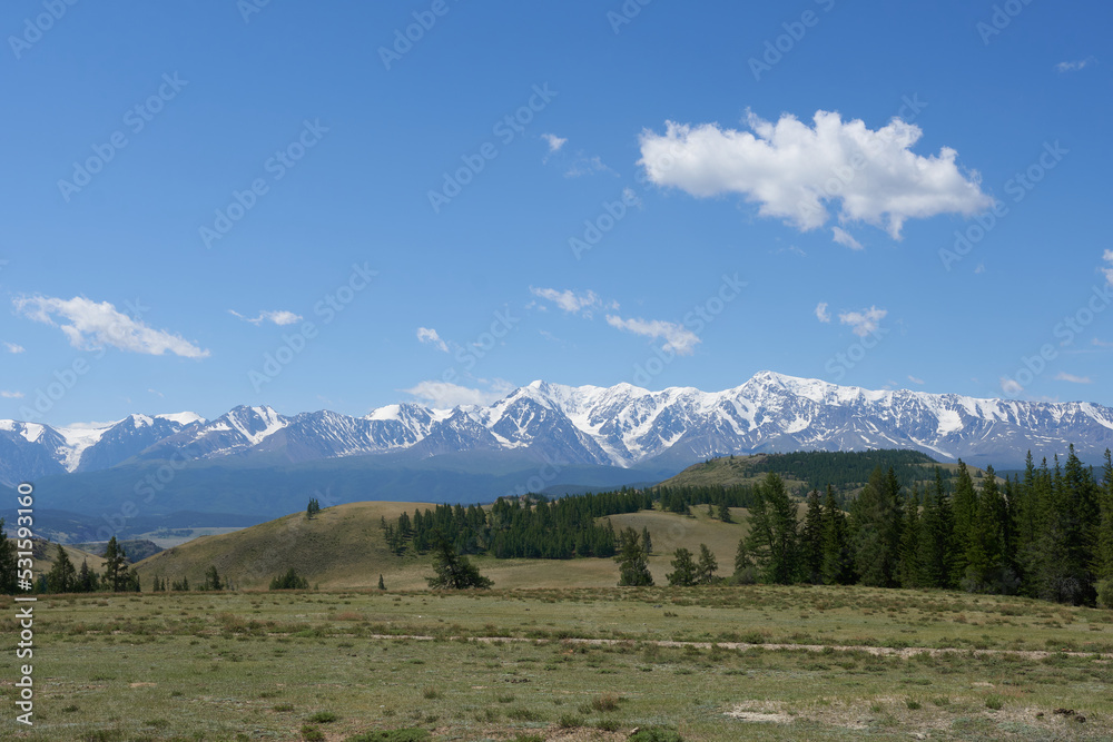 Pasture against the backdrop of snow-covered peaks of the Altai Mountains. Beautiful photo wallpaper of nature. 