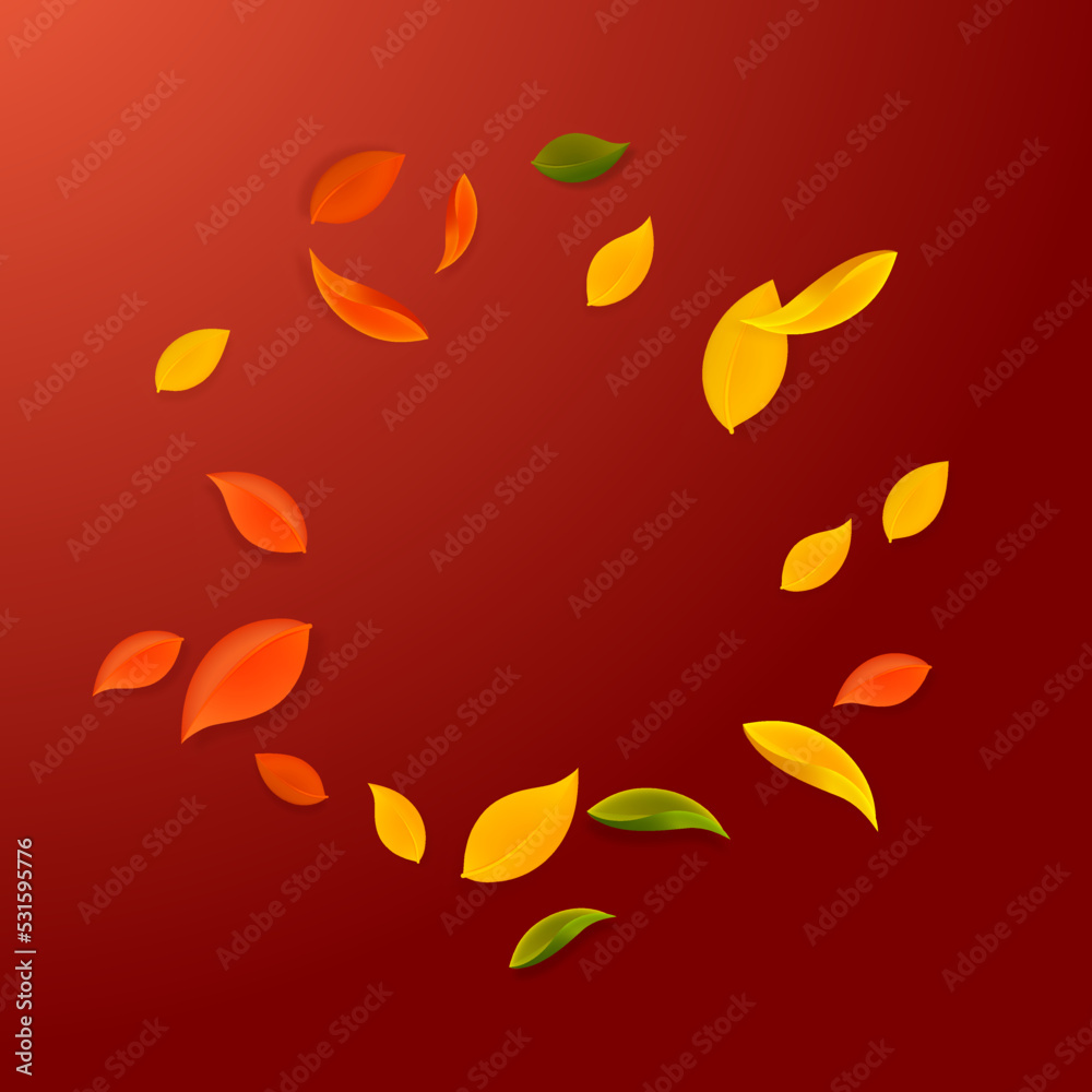Falling autumn leaves. Red, yellow, green, brown c