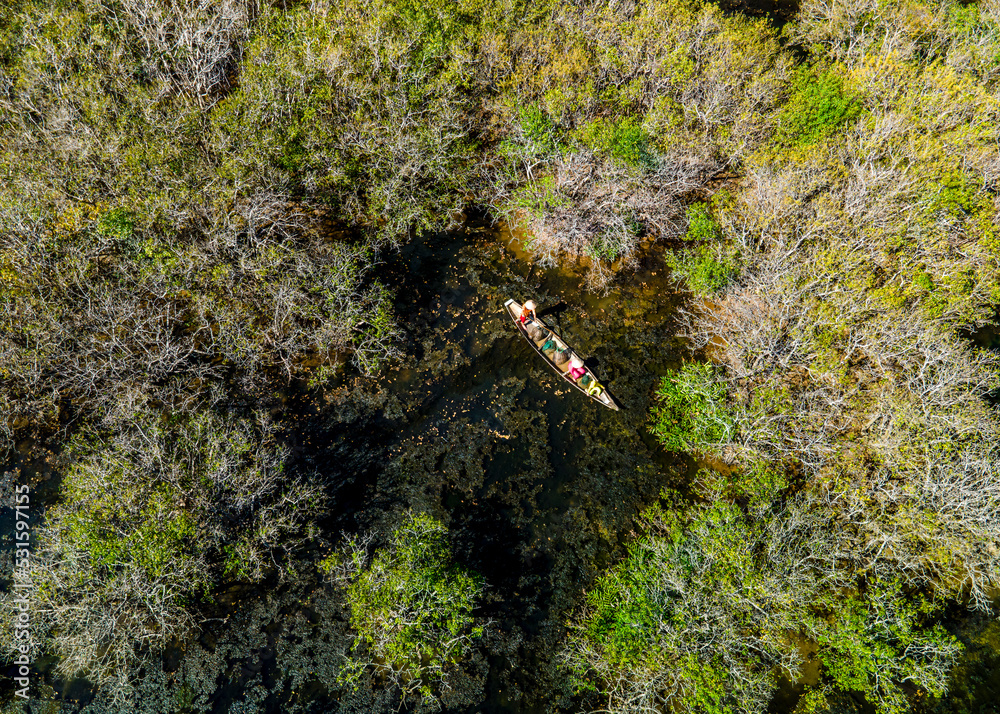 Naklejka premium Amazing scenery in Ru Cha mangroves in Hue city, Vietnam.