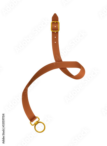 Belt Realistic Illustration