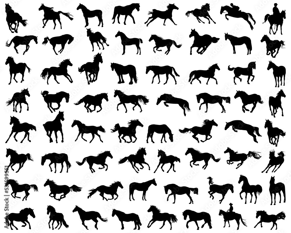 Fototapeta premium Big set of horses silhouettes 