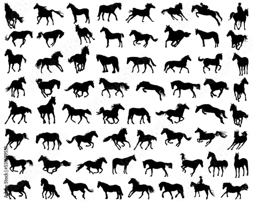 Big set of horses silhouettes 