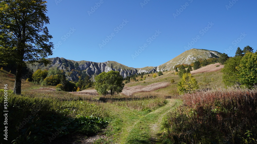 landscape near Gornje Bare, with mountain view and autmun colours, Sutjeska National Park, Bosnia and Herzegovina, europe