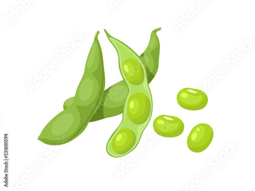 Vector illustration, edamame beans isolated on white background.Vector illustration, edamame beans isolated on white background.Vector illustration, edamame beans isolated on white background.