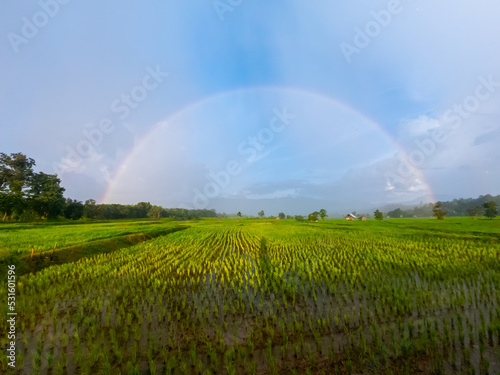 rainbow over fields during rain