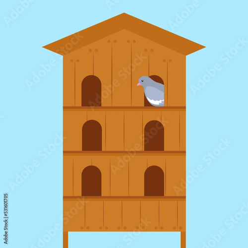 pigeon peeking out of dovecote photo