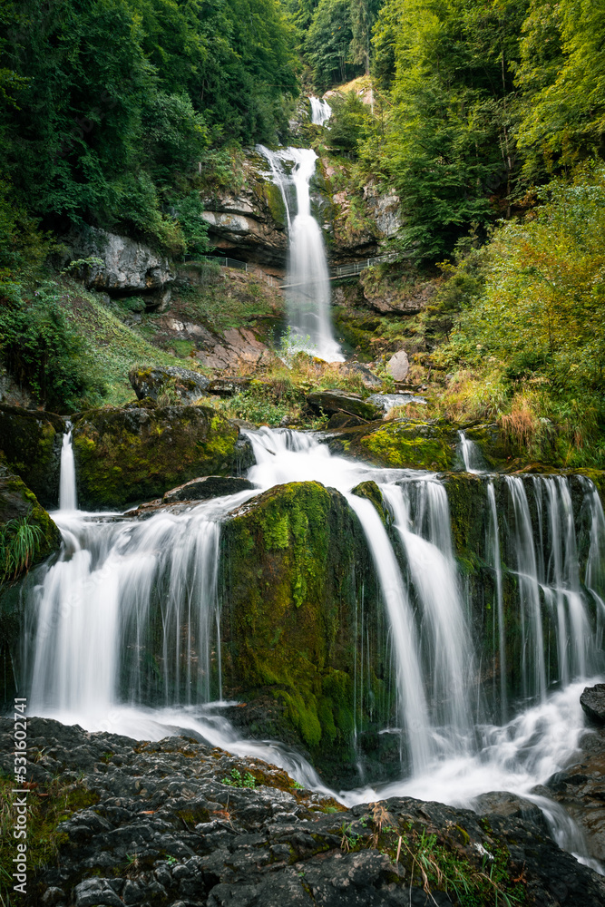Obraz premium Wasserfall im Wald