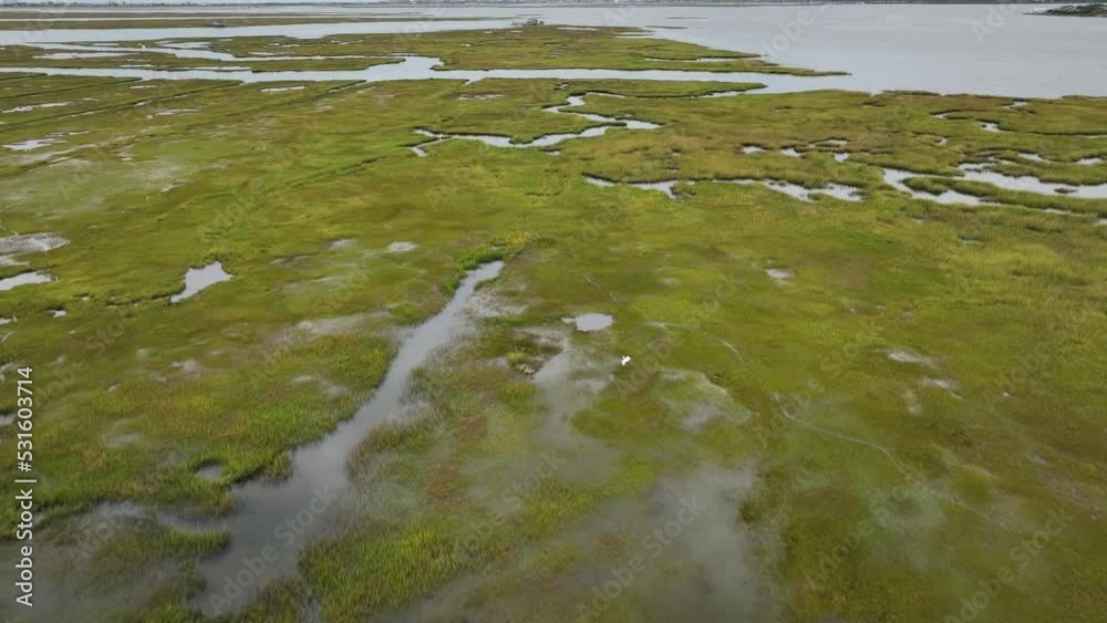 An aerial view over the salt marshes in Hempstead, NY on a cloudy day. The camera dolly in and boom down, over a bird in flight over the green salt grass.