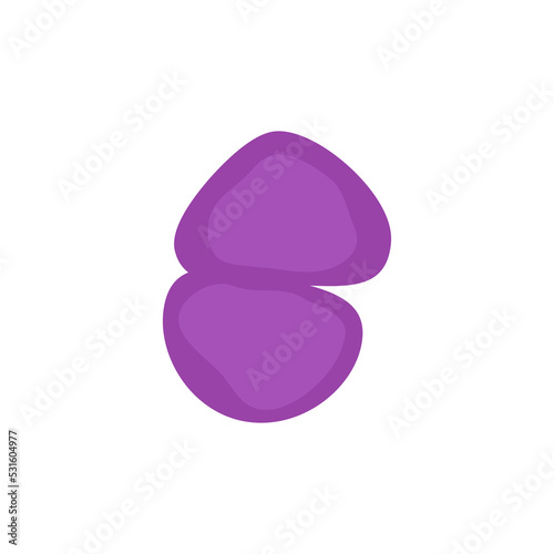 Streptococcus Pneumoniae bacteria cell medical diagram icon