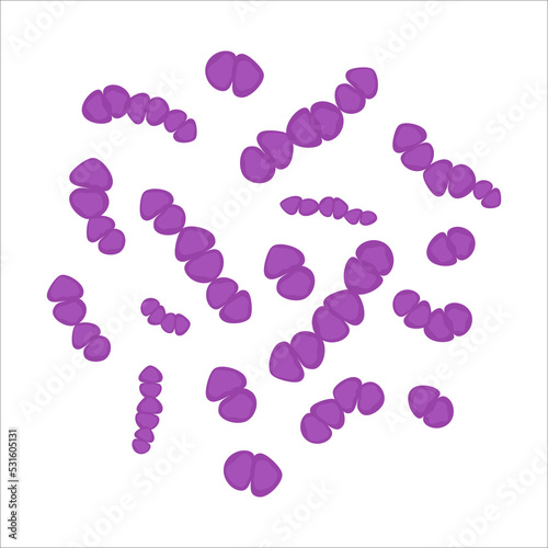 Streptococcus Pneumoniae bacteria cell medical diagram icon