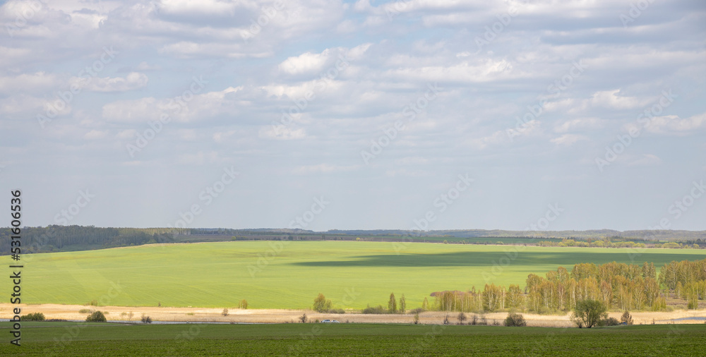 Sunlight through the clouds illuminates the young greenery of bushes and trees. Rural spring landscape with a river, clouds over the horizon.