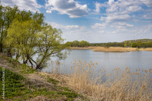 Sunlight through the clouds illuminates the young greenery of bushes and trees. Rural spring landscape with a river, clouds over the horizon.