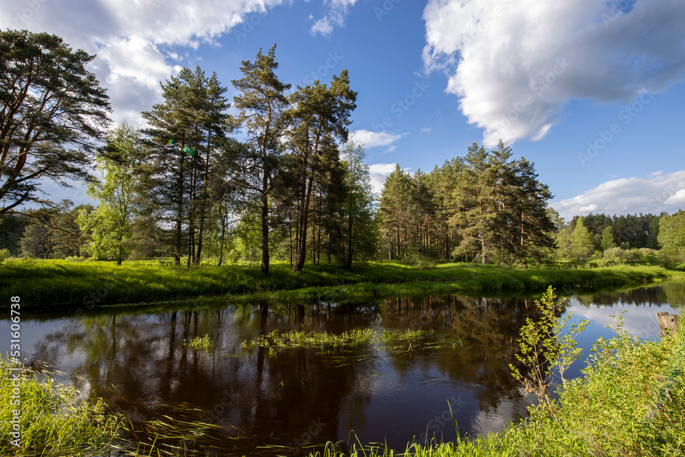 Bright sunny landscape near the river. The sun's rays illuminate the young greens.