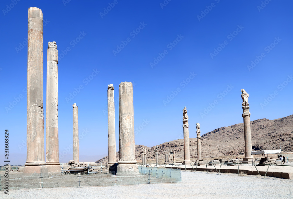 Columns and ruins of Apadana Palace built by Darius the Great, Persepolis,  Iran