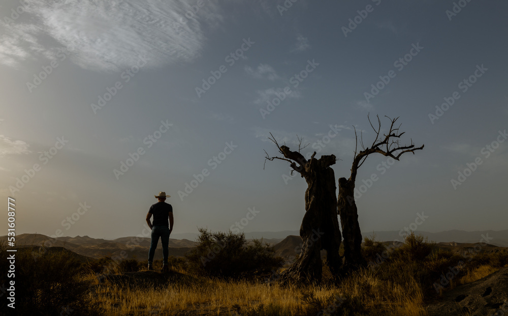 Silhouette of adult man standing on desert during sunset. Almeria, Spain