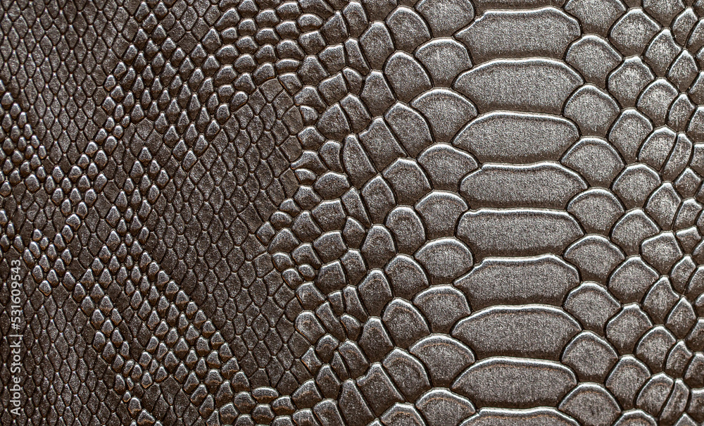 Beautiful dark gray python skin, reptile skin texture, snake skin close-up as a background. Beautiful dark gray python skin, reptile skin texture, snake skin close-up as a background.