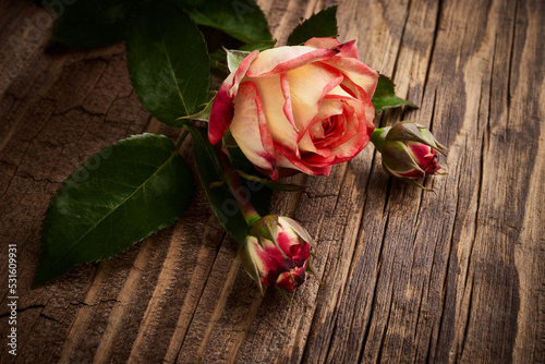 Fototapeta Naklejka Na Ścianę i Meble -  A few flowers of roses on a vintage wooden planks backdrop