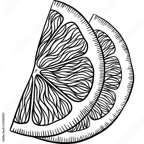 Hand drawn Lemon Slices