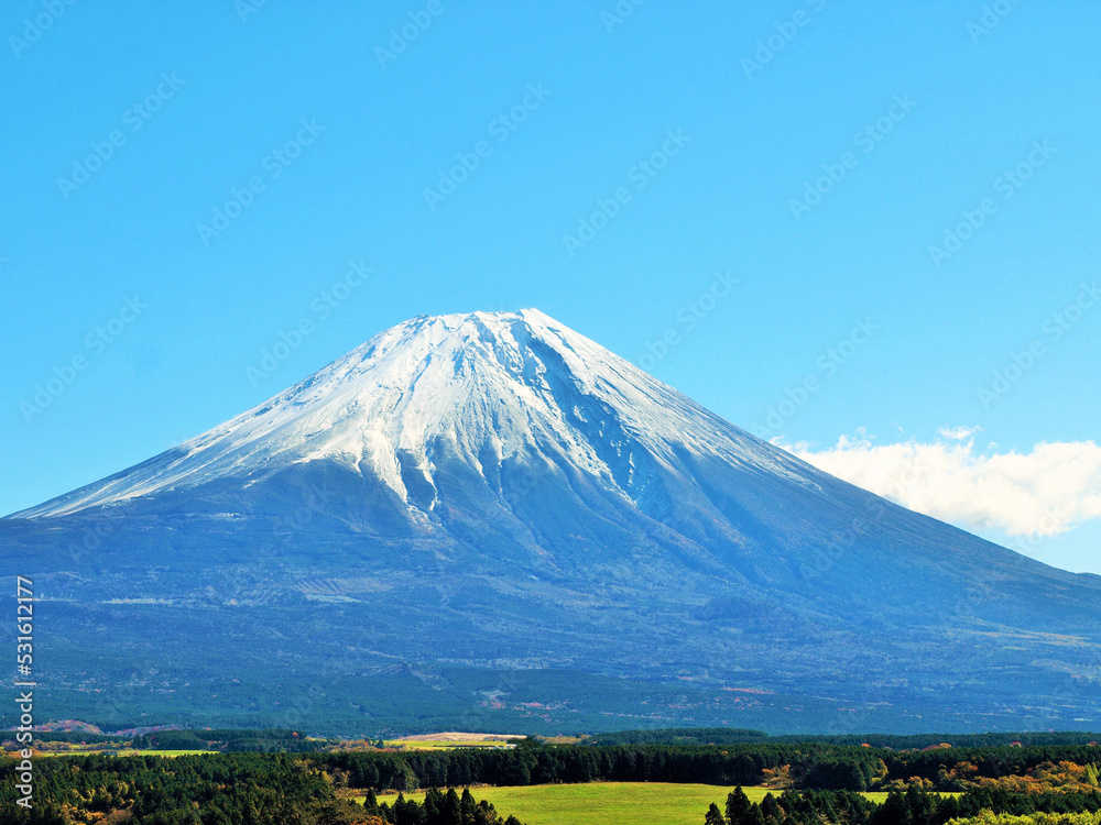 秋の冠雪の富士山と朝霧高原