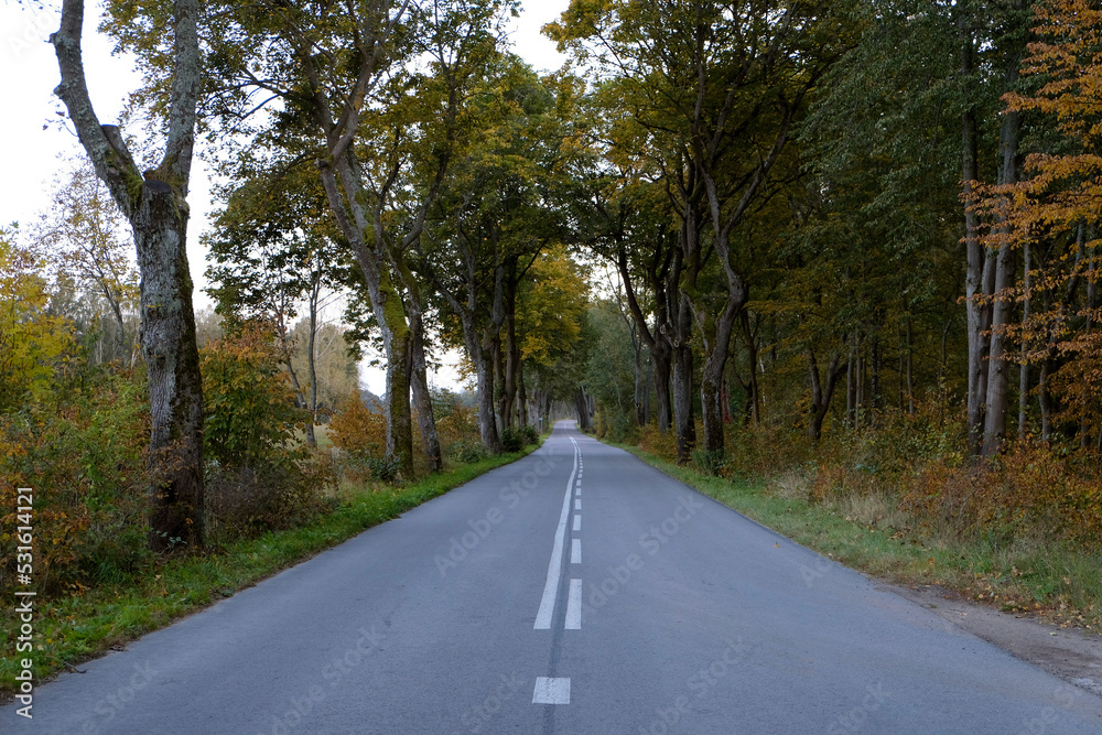 Road 528 near Milakowo - Poland.
