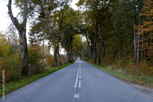 Road 528 near Milakowo - Poland.