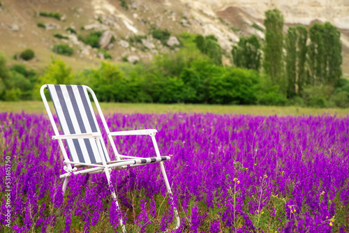 Armchair for outdoor recreation in a field of flowers