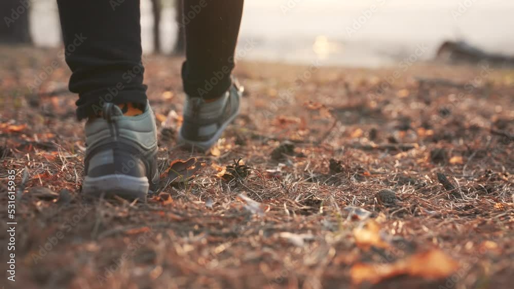 Hiking in the forest. Tourist shoes in the forest park. People travel in nature. Summer woman legs in nature park. Adventure tourist on vacation. Tourist feet in the forest park. Trekking Hiking Hiking in the forest. Tourist shoes in the forest park. People travel in nature. Summer woman legs in nature park. Adventure tourist on vacation. Tourist feet in the forest park. Trekking Hiking