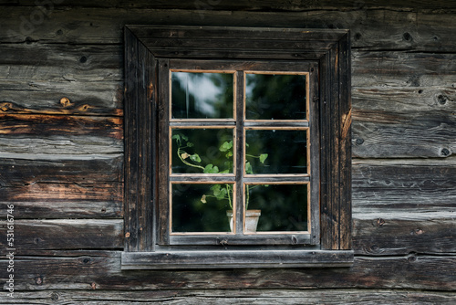  Nice wooden hut