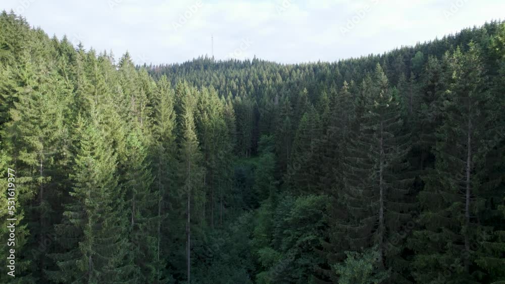 Drone flight through beautiful and peaceful German forest in Harz Mountains at daytime. Drone flight through beautiful and peaceful German forest in Harz Mountains at daytime.