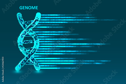 Big genomic data visualization