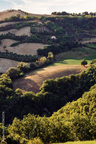 View of the fields and trees near Belvedere Fogliense in the Marche region of Italy photo