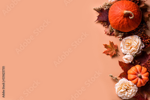 Autumn pumpkins, rose flowers composition photo