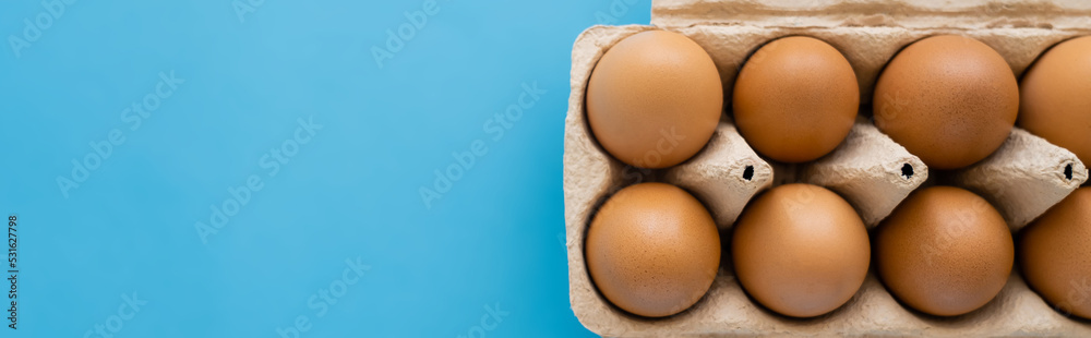 Top view of brown chicken eggs in carton package isolated on blue, banner.